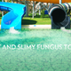 Image for article titled Water Parks Are Filthy Cesspools of Despair